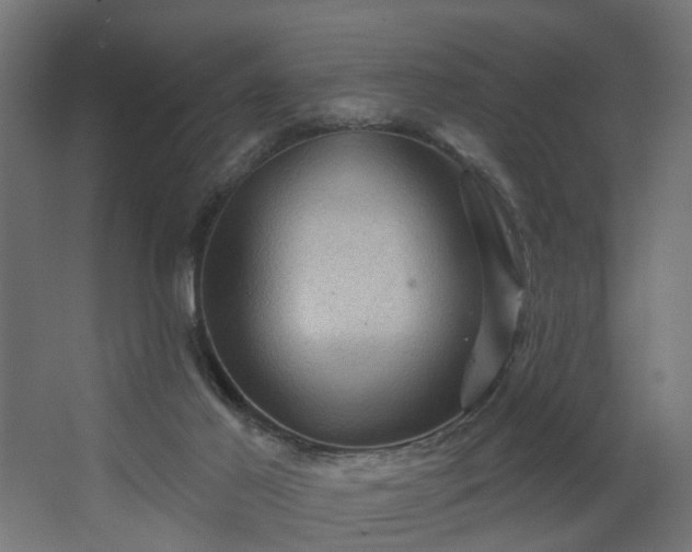 X0000067840021200604201253