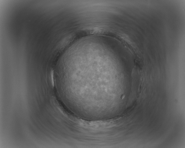 X0000067840022200604201253