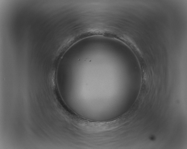 X0000067840023200604201253