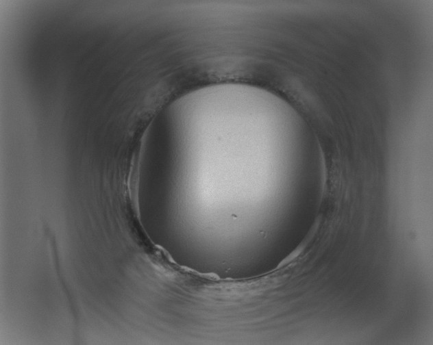 X0000067840025200604201253