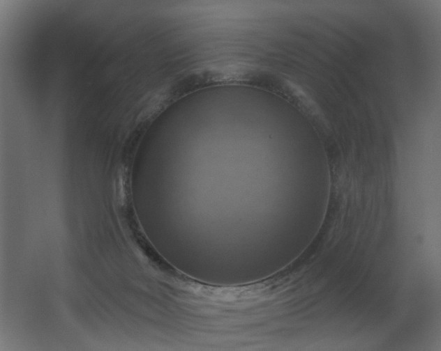 X0000067840026200604201253