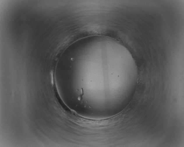 X0000067840027200604201253