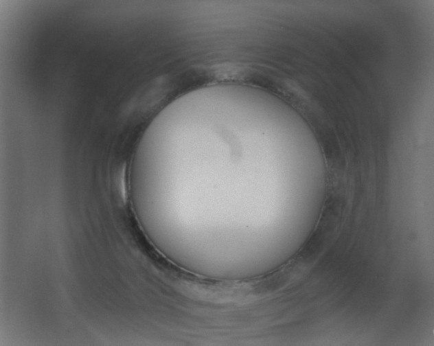 X0000067840028200604201253