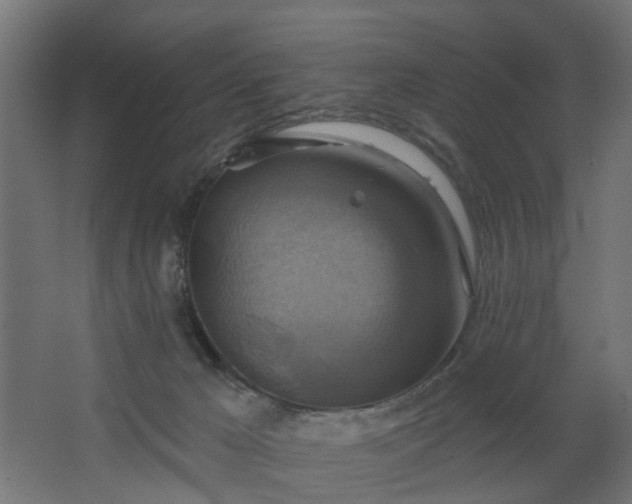 X0000067840029200604201253