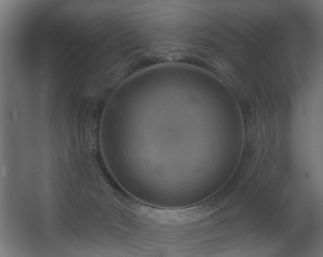 X0000067840030200604201253