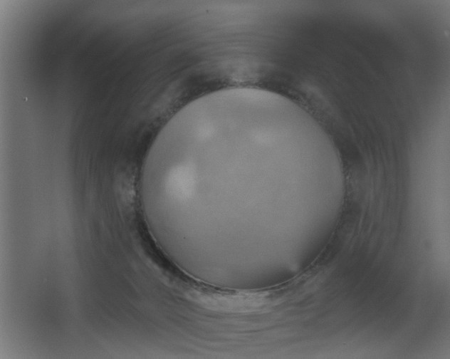 X0000067840032200604201253