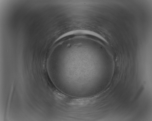 X0000067840033200604201253