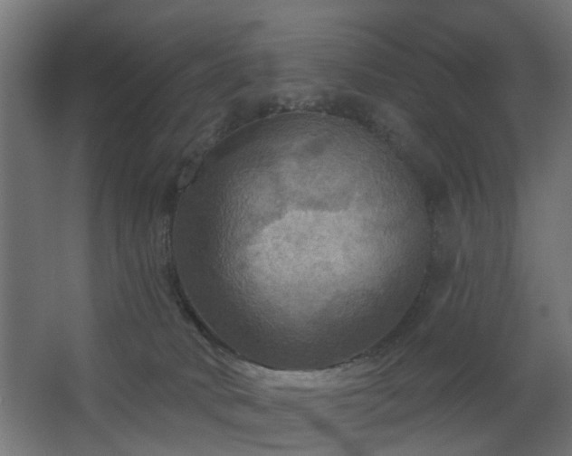 X0000067840034200604201253