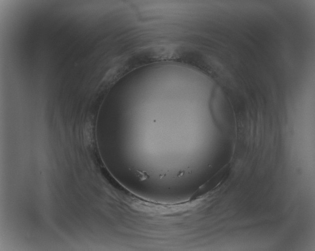 X0000067840035200604201253