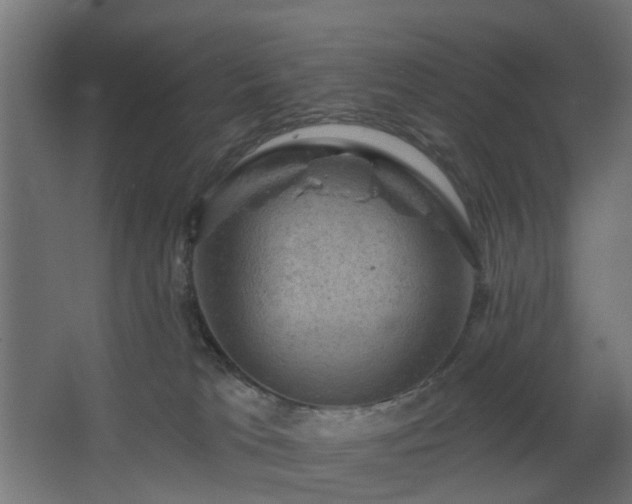 X0000067840037200604201253