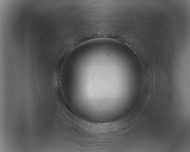 X0000067840038200604201253