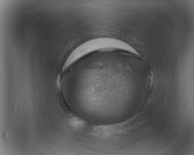 X0000067840041200604201253