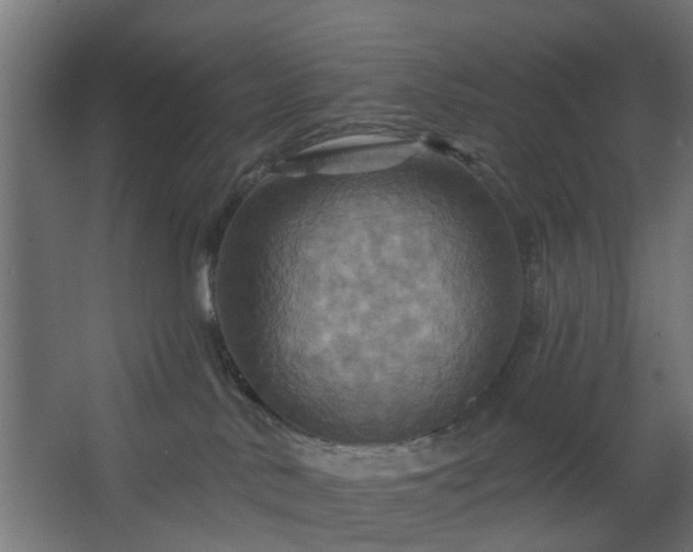 X0000067840042200604201253