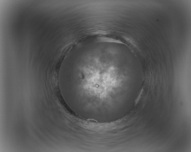 X0000067840043200604201253