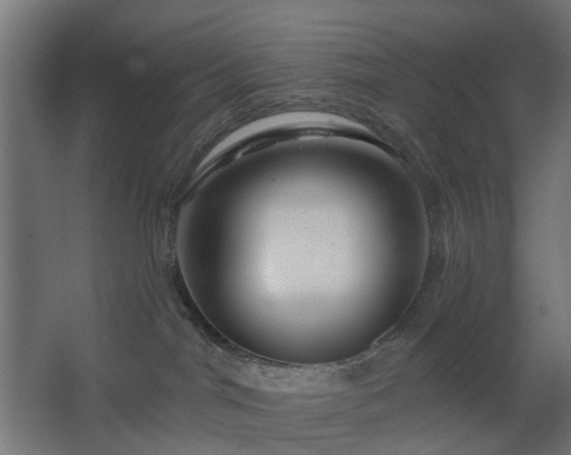 X0000067840044200604201253