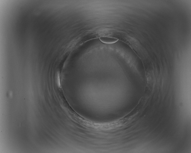 X0000067840046200604201253