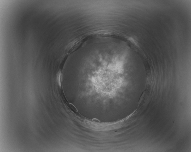 X0000067840047200604201253