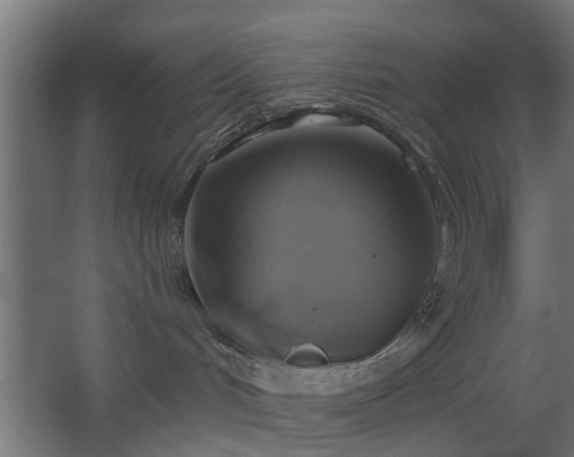 X0000067840048200604201253