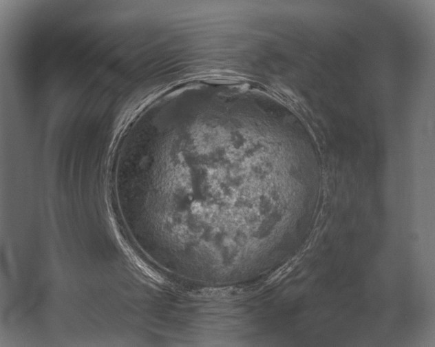 X0000067840049200604201252