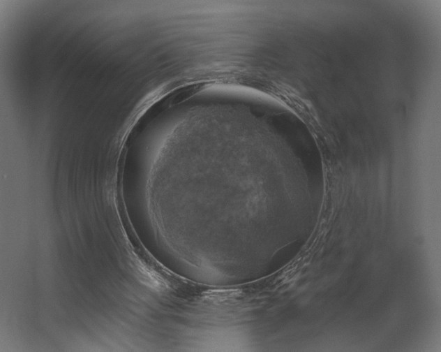 X0000067840051200604201252