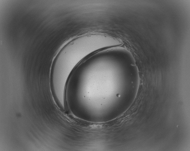 X0000067840052200604201252