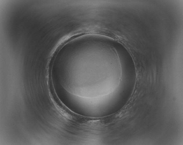 X0000067840054200604201252