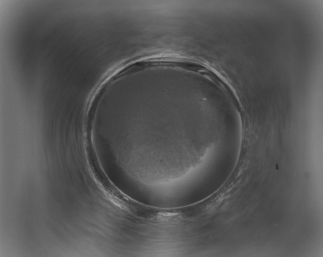 X0000067840055200604201252