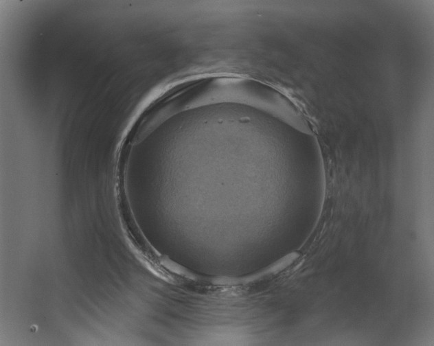 X0000067840056200604201252