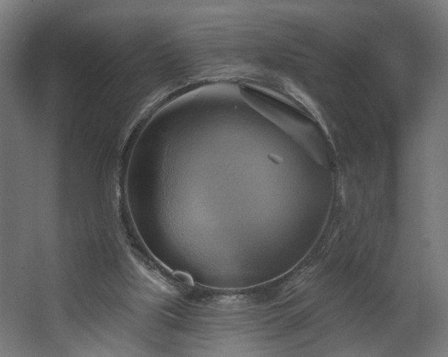 X0000067840059200604201252