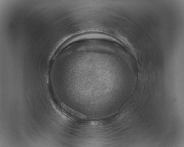 X0000067840060200604201252