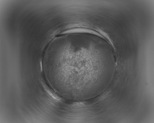 X0000067840061200604201252