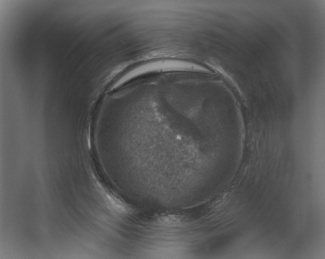 X0000067840062200604201252