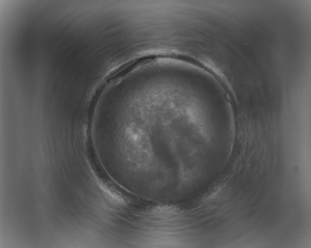 X0000067840063200604201252