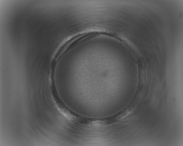 X0000067840064200604201252