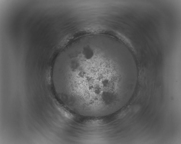 X0000067840065200604201252