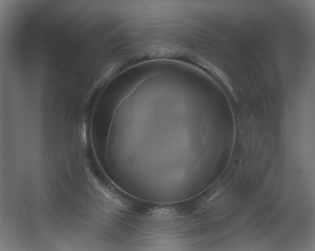 X0000067840067200604201252