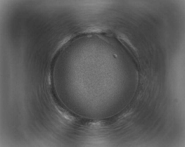 X0000067840068200604201252