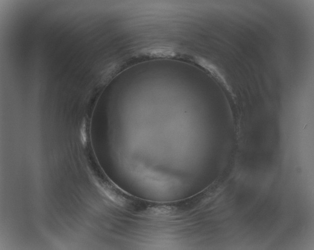 X0000067840069200604201252