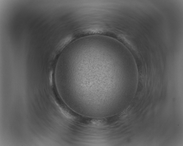 X0000067840070200604201252