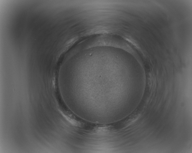 X0000067840072200604201252