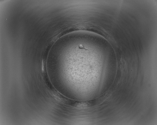 X0000067840075200604201252