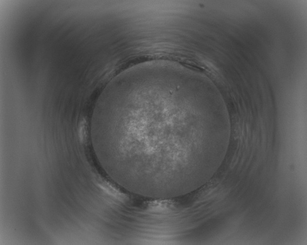 X0000067840077200604201252