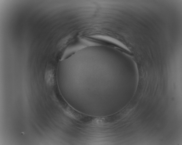 X0000067840080200604201252