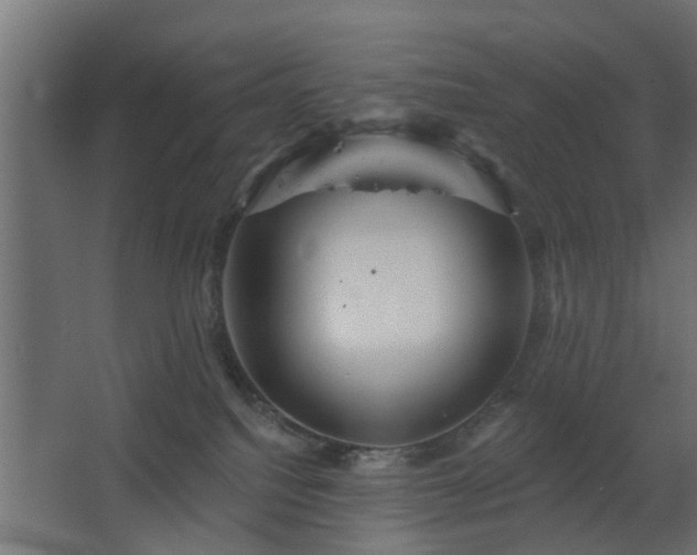 X0000067840088200604201252