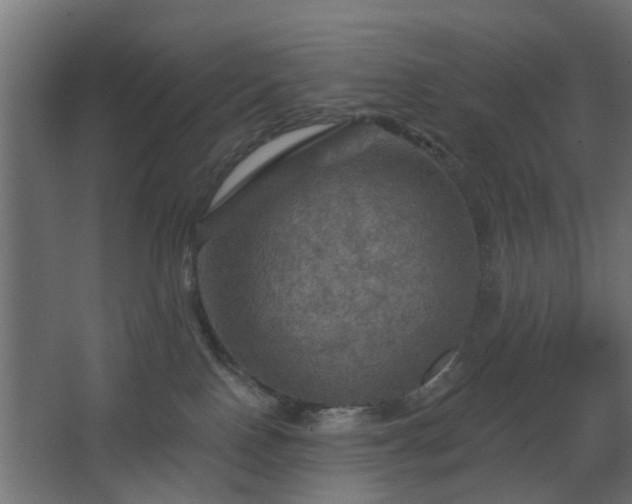 X0000067840090200604201252