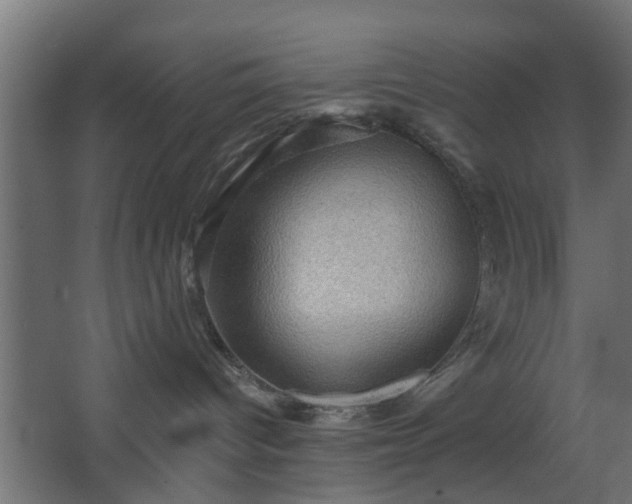 X0000067840096200604201253