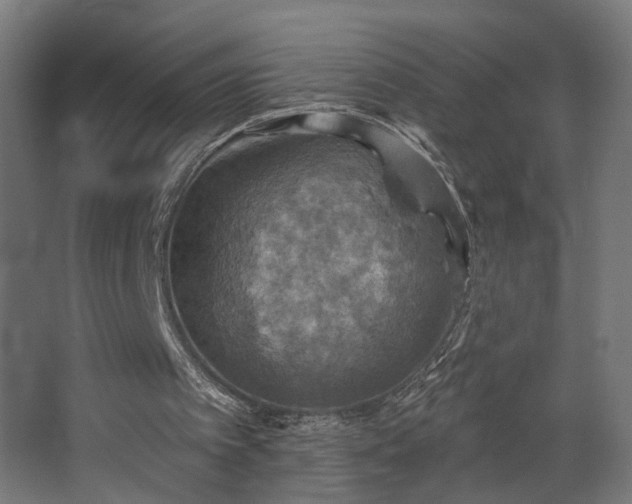 X0000067840097200604201252