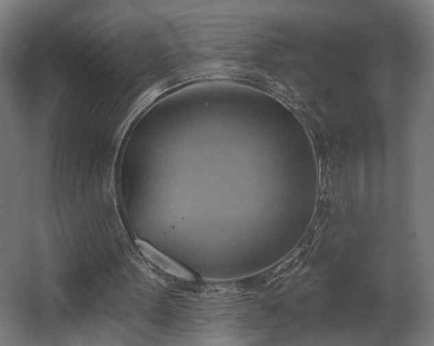 X0000067840099200604201252