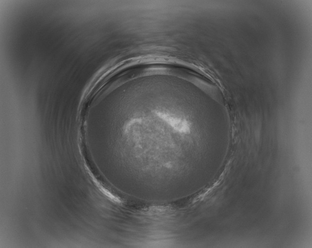 X0000067840101200604201252