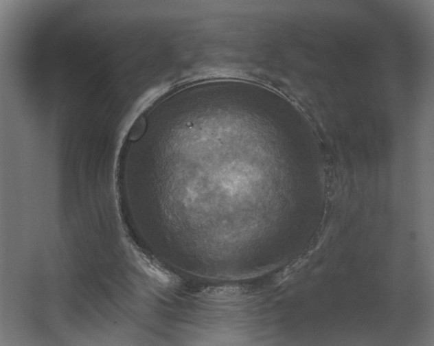 X0000067840104200604201252